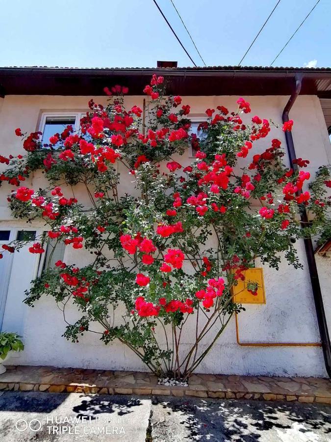 Modern&Cozy Bosnian House With Garden+Free Parking Ξενοδοχείο Σαράγεβο Εξωτερικό φωτογραφία