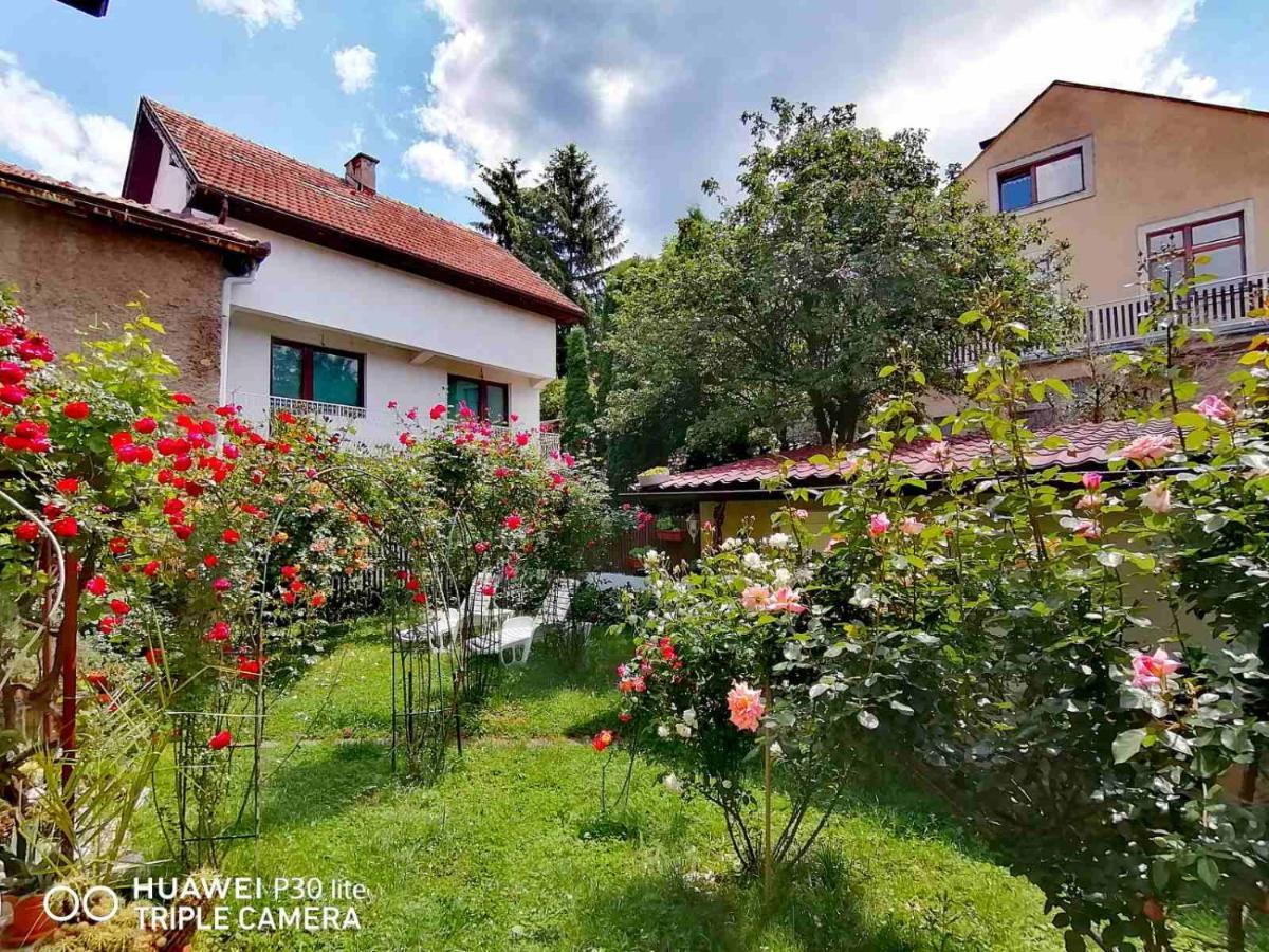 Modern&Cozy Bosnian House With Garden+Free Parking Ξενοδοχείο Σαράγεβο Εξωτερικό φωτογραφία