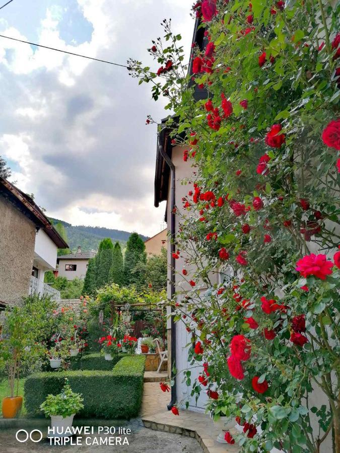 Modern&Cozy Bosnian House With Garden+Free Parking Ξενοδοχείο Σαράγεβο Εξωτερικό φωτογραφία