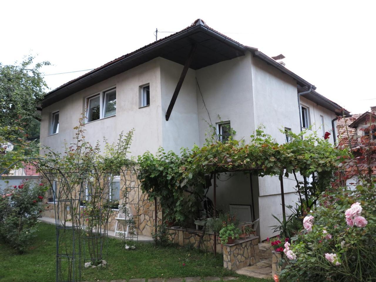 Modern&Cozy Bosnian House With Garden+Free Parking Ξενοδοχείο Σαράγεβο Εξωτερικό φωτογραφία